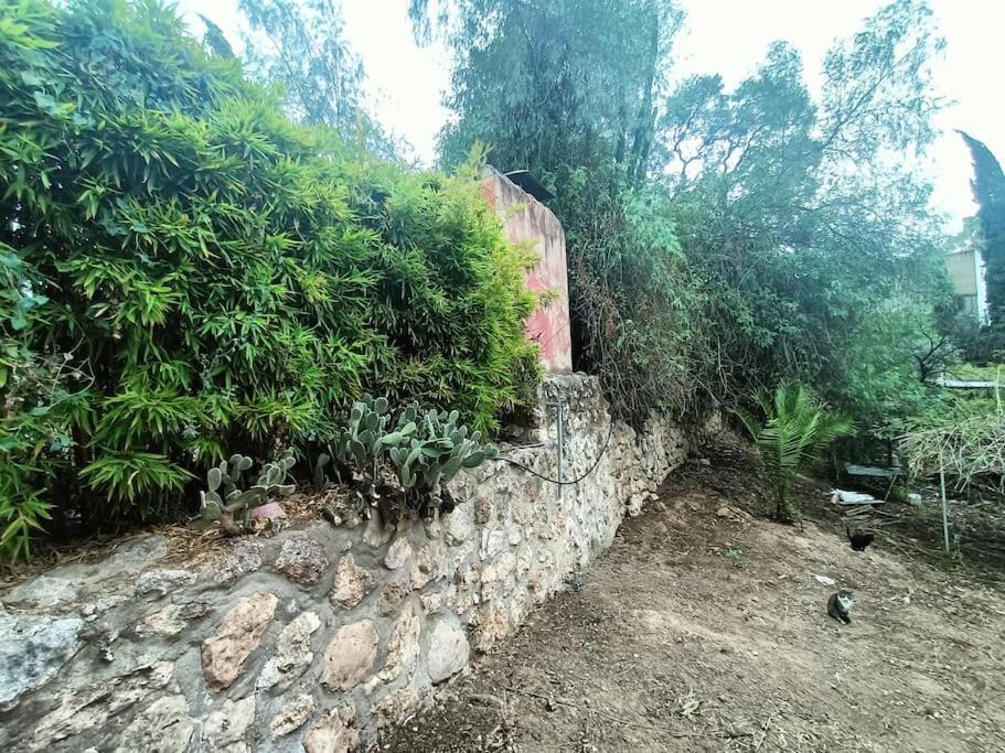 Casa Rural En El Campo Con Animales, Piscina Y Barbacoa Almodóvar del Río Exterior foto