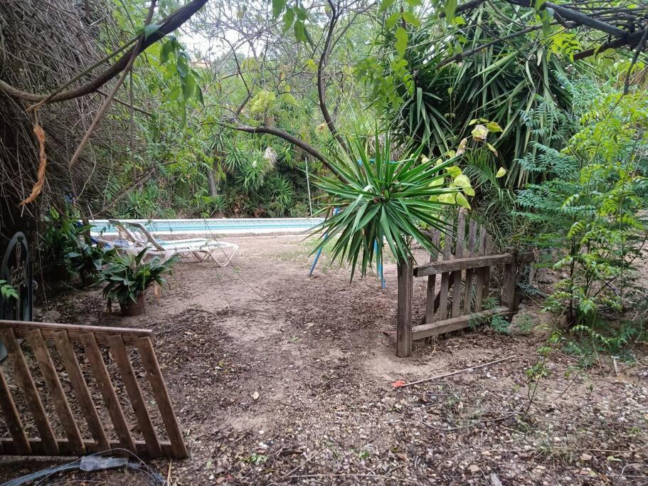 Casa Rural En El Campo Con Animales, Piscina Y Barbacoa Almodóvar del Río Exterior foto