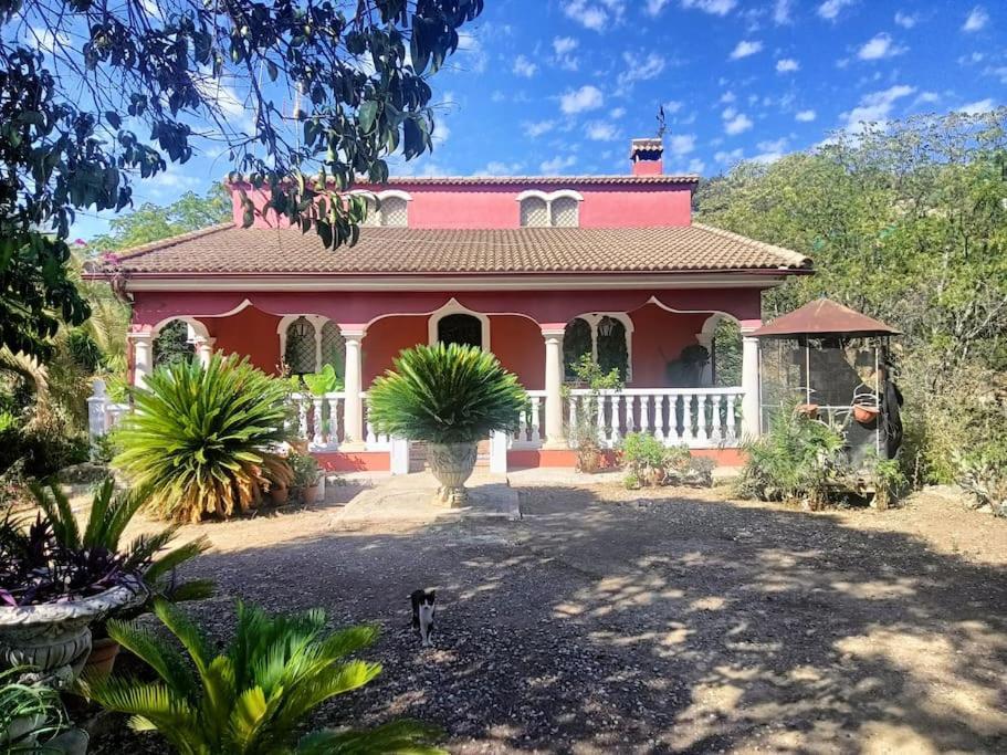 Casa Rural En El Campo Con Animales, Piscina Y Barbacoa Almodóvar del Río Exterior foto