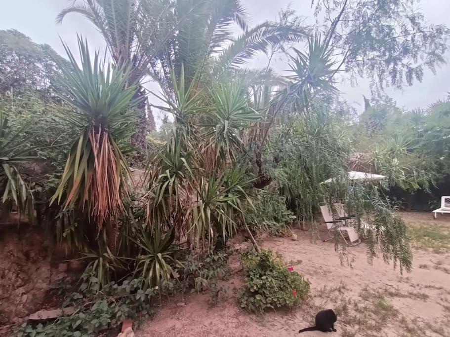 Casa Rural En El Campo Con Animales, Piscina Y Barbacoa Almodóvar del Río Exterior foto