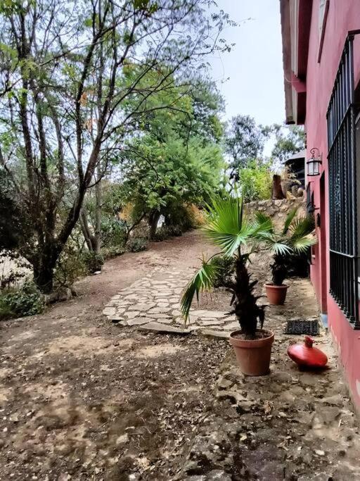 Casa Rural En El Campo Con Animales, Piscina Y Barbacoa Almodóvar del Río Exterior foto